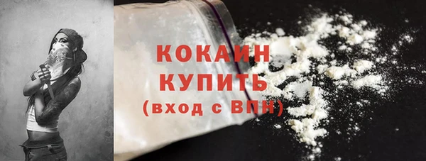 дживик Абаза